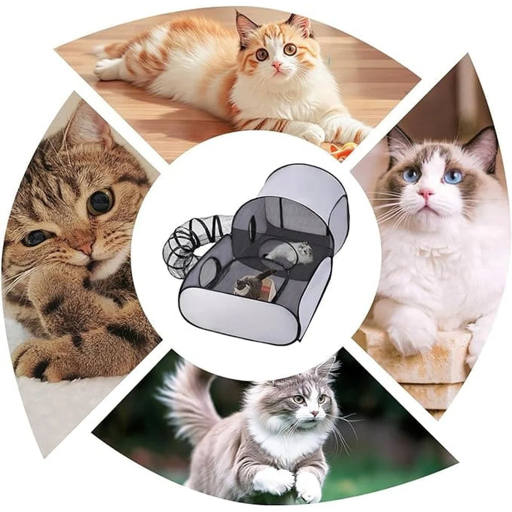 Zinziba Kattentent™️